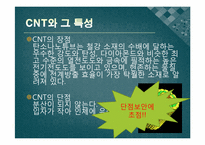 CNT의 전기적 성질을 이용한 설계-4