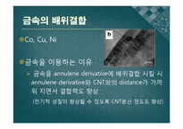 CNT의 전기적 성질을 이용한 설계-11