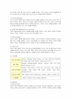 [인적자원관리] 다국적기업 P&G의 인사제도 분석-2