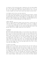 [마케팅] 홍진크라운(HJC)의 미국시장 마케팅 전략-6