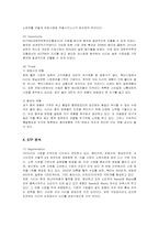 [마케팅] 홍진크라운(HJC)의 미국시장 마케팅 전략-7