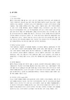 [마케팅] 홍진크라운(HJC)의 미국시장 마케팅 전략-9