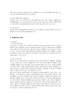 [마케팅] 홍진크라운(HJC)의 미국시장 마케팅 전략-11