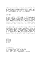 [마케팅] 진로 그룹의 일본시장 마케팅과 성공요인-10