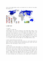 [경영전략] 이케아(IKEA)의 해외 진출 전략-4