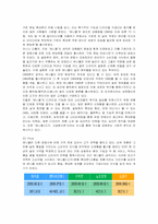 [마케팅] 삼성전자 애니콜의 마케팅과 방안 분석-9