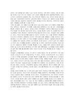 [마케팅] 삼성전자 애니콜의 마케팅과 방안 분석-14
