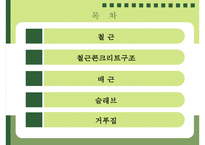 철근콘크리트 레포트-2
