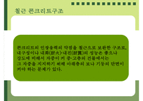 철근콘크리트 레포트-17