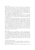 [경영전략] 다국적기업 월마트의 전략 분석-13