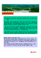 [경영분석](주)오리온그룹과 초코파이 경영분석-9