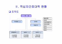 [경영조직] 적십자간호대학 행정조직에 대한 분석-5