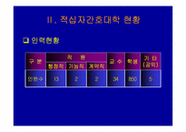 [경영조직] 적십자간호대학 행정조직에 대한 분석-6