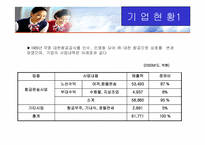 [경영조직론] 대한항공의 조직구조와 개선방향-2