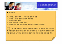 [경영조직론] 대한항공의 조직구조와 개선방향-6