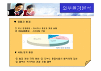[경영조직론] 대한항공의 조직구조와 개선방향-10