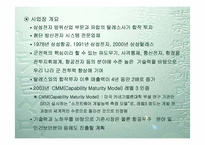 [경영조직론] 삼성탈레스조직구조분석-3