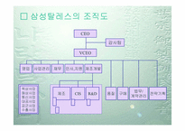 [경영조직론] 삼성탈레스조직구조분석-4