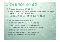 [경영조직론] 삼성탈레스조직구조분석-5