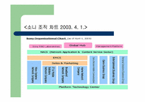 [경영조직론] 소니의컴퍼니제-13