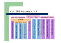 [경영조직론] 소니의컴퍼니제-14