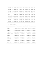 [경영분석] 다음커뮤니케이션㈜에 관한 분석보고서-6