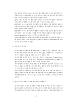 [경영분석] 다음커뮤니케이션㈜에 관한 분석보고서-12