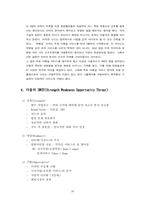 [경영분석] 다음커뮤니케이션㈜에 관한 분석보고서-17