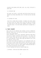 [경영분석] 다음커뮤니케이션㈜에 관한 분석보고서-19