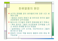 [마케팅] 아시아 지역에 부는 ‘한류열풍’-5