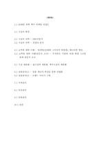 [마케팅] STP의 신개념 맥주출시를 위한 전략-2
