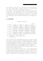 [마케팅] STP의 신개념 맥주출시를 위한 전략-4