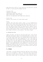 [마케팅] STP의 신개념 맥주출시를 위한 전략-9