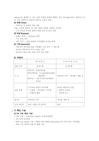 싸이월드 마케팅조사-8