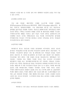 싸이월드 분석 레포트-3