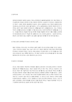 [마케팅전략] SONY Play Station2 소니플레이스테이션2 마케팅전략-6