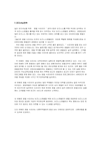 [호텔마케팅] 가상호텔 마케팅전략-13