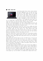 [다국적기업론] 인텔성공요인분석-1