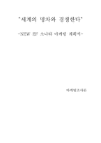 [마케팅조사론] NEW EF소나타 마케팅계획서-13