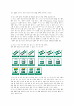 [브랜드전략론] 롯데자일리톨껌이 직면한 경쟁과 그 해결 방안-11