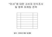 [마케팅] `미샤`대한 소비자인식조사 및 향후 마케팅전략-1