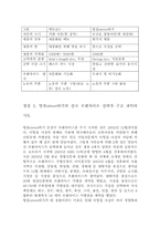 [마케팅] 한국 프랜차이즈 산업 현황과 영철스트릿버거-16