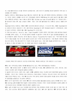 [브랜드전략] WWE브랜드전략-4