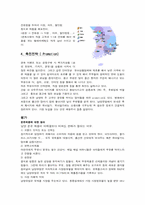 [경영전략]남양유업 마케팅전략-13