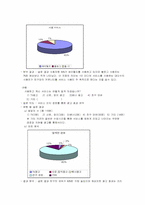 [마케팅조사] 1인 미디어서비스시장 조사- 싸이월드와 블러그-6