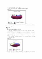[마케팅조사] 1인 미디어서비스시장 조사- 싸이월드와 블러그-8