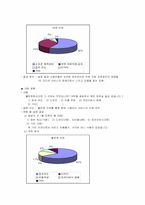 [마케팅조사] 1인 미디어서비스시장 조사- 싸이월드와 블러그-10
