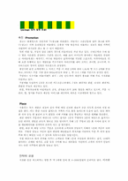 [마케팅관리] 임실피자치즈-불고기피자 성공요인과 마케팅분석-12