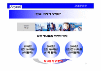 [국마케팅전략] 삼성휴대폰 애니콜 독일사례중심의 유럽시장진출전략-3
