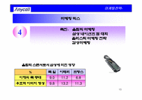 [국마케팅전략] 삼성휴대폰 애니콜 독일사례중심의 유럽시장진출전략-13